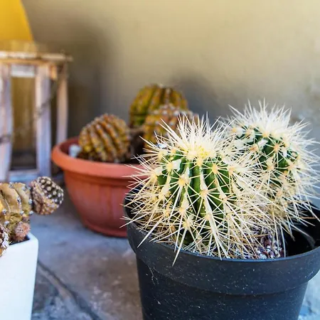 Apartament Orange - The House Of Travelers Como